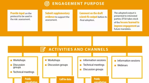 Engagement windows in the life cycle of a mandate